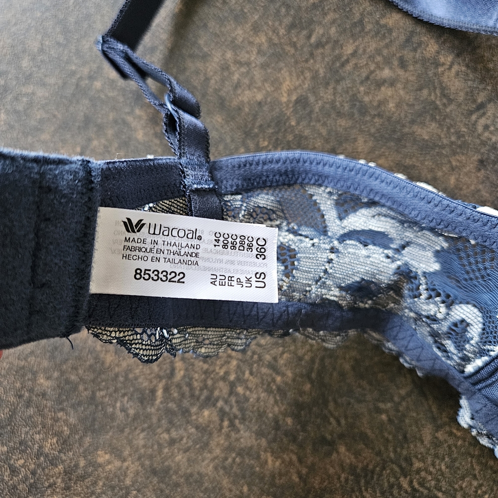 NWT Wacoal Blue And Cream Lace T-shirt Bra. Size 36C - Picture 3 of 5